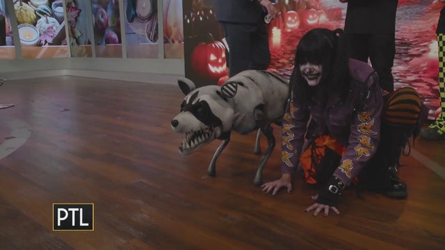 Chippie the robot raccoon is on the loose in Pittsburgh!
