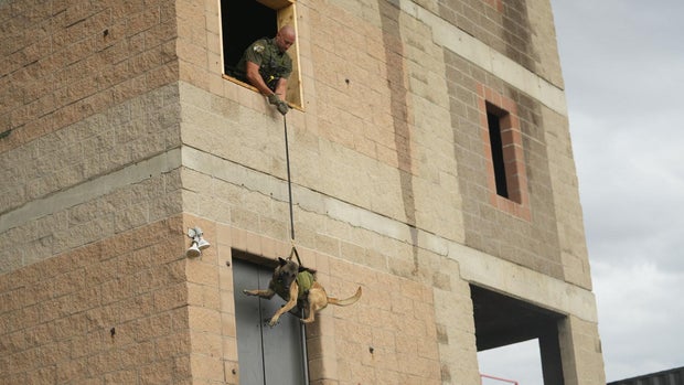 dougco-dog-repelling-1-dcso-copy.jpg