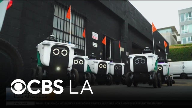 Delivery robots raise concerns in Southern California, with sidewalk safety in mind
