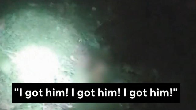 Video shows dog rescuing missing boy