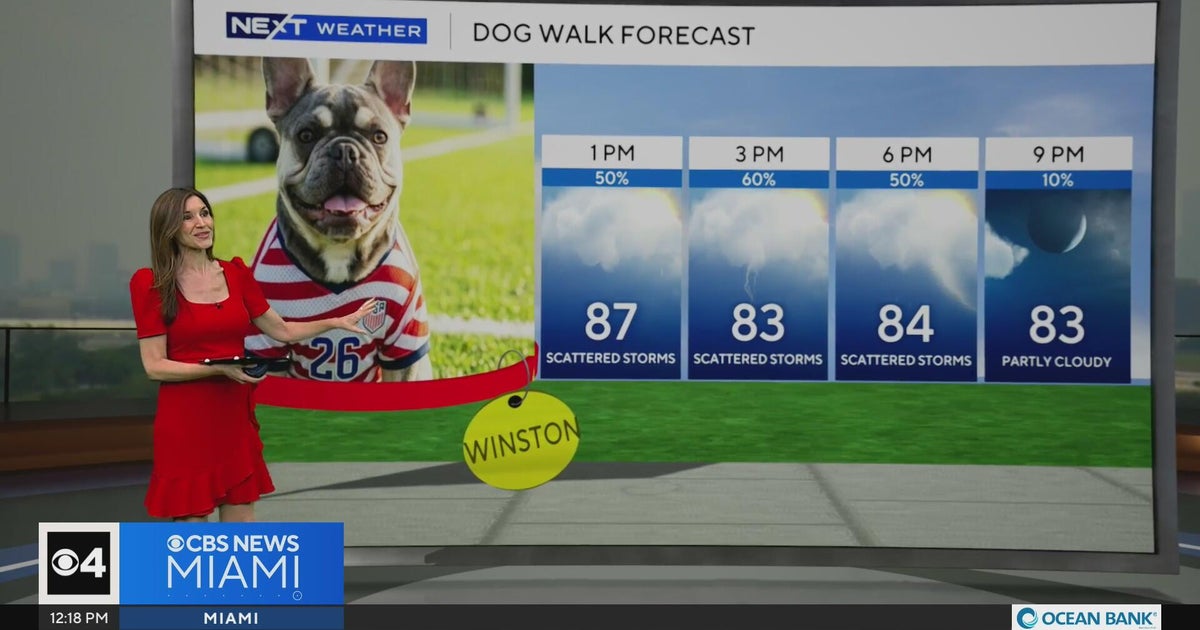 South Florida sees higher rain chances Thursday before drier conditions ...