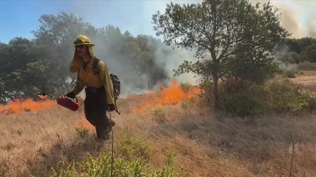 Bay Area air quality regulators reassessing controlled burns processes