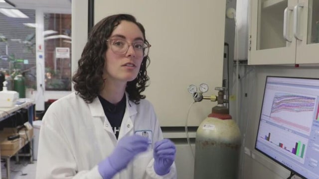 Bay Area biotech researchers using AI to advance cell therapy