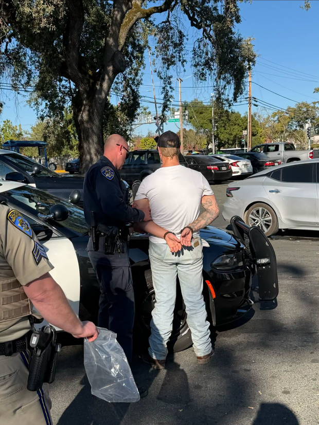 Santa Rosa fatal hit-and-run arrest
