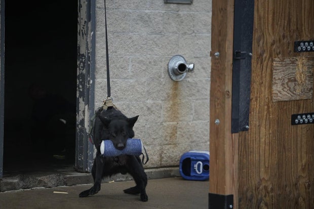 dougco-dog-repelling-5-dcso.jpg