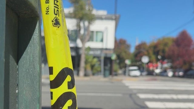Elderly couple visiting from Spain severely injured in Berkeley hit-and-run crash