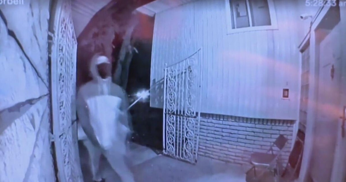 2 Detroit men accused of killing dog after shooting into Southfield home
