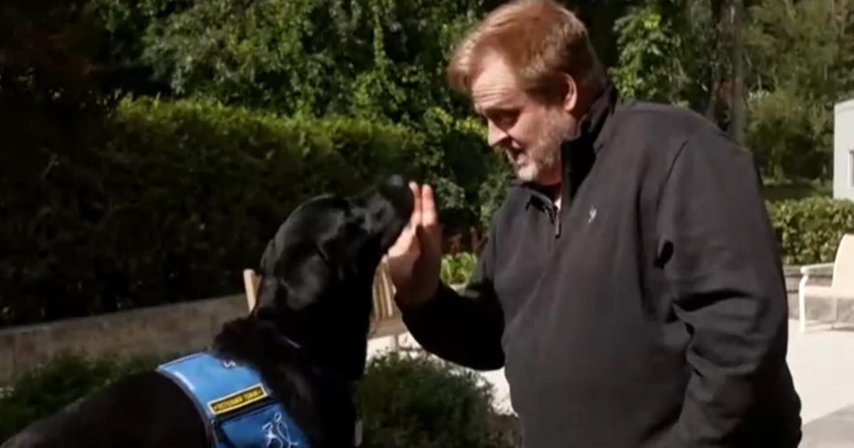 How a service dog changed a disabled veteran's life