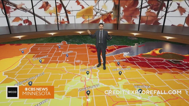 1 week into October, here's how Minnesota weather is affecting fall colors | Oct. 9, 2026