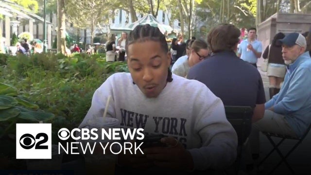 New Yorkers react to fan interference in Yankees game