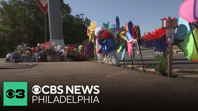 Police increase presence near Delaware school after deadly crash