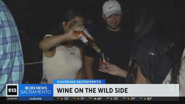 Sacramento Zoo hosts Wine on the Wild Side fundraiser