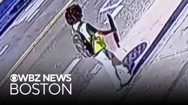 Man arrested with machete in Boston charged in triple stabbing