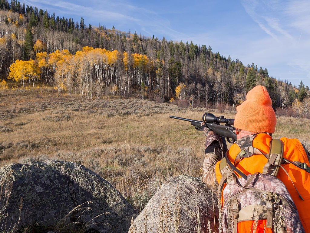 Amendment 83 would create a constitutional right to hunt and fish in ...