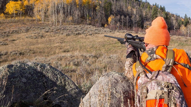 Hunting Season 