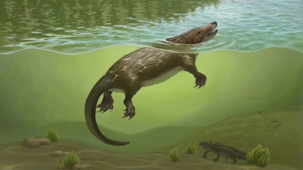 hero-megacauda-life-restoration.png