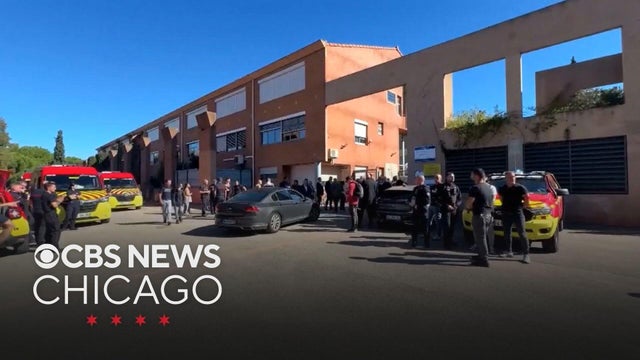 Principal, teacher injured in school shooting in France