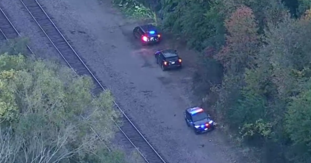 Metra BNSF line service resumes after man hit, killed by train in ...