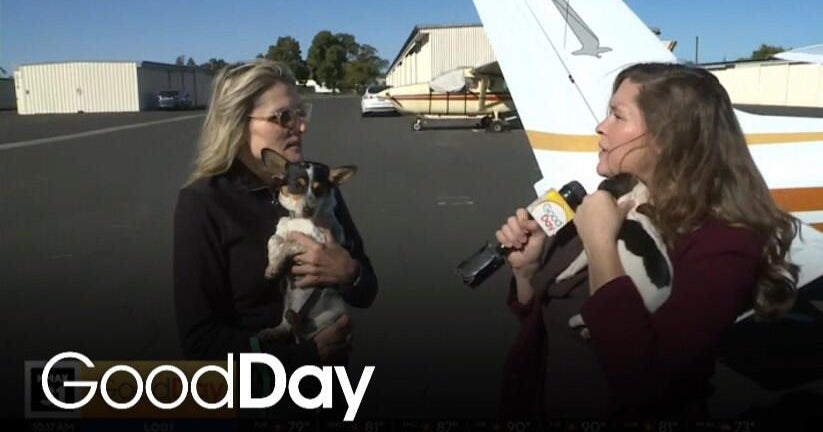 Pilots & Pups, a program that flies animals out of danger!