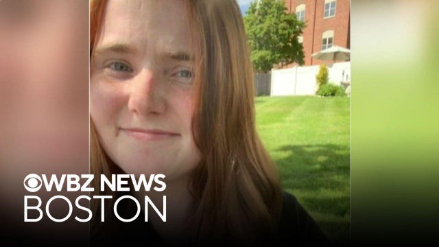 Matthew Farwell trial testimony begins with focus on Sandra Birchmore's mental health