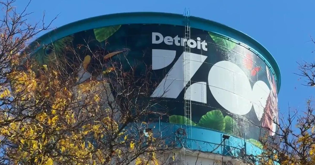 3 counties to vote on Detroit Zoo millage renewal in November election