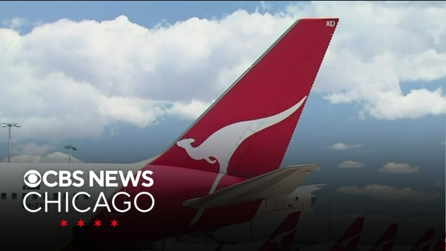 Bed bugs found on Qantas flight from Rome to Australia