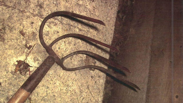 cornrake-sneakpeek.jpg 