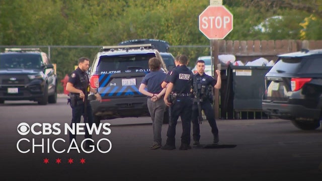 Palatine teen arrested for alleged mass shooting plot targeting Hindu temple