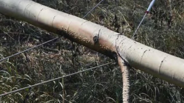 Colorado investigators release findings on cause of Aspen Acres Fire