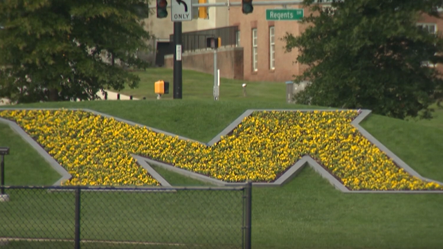umd2.png 