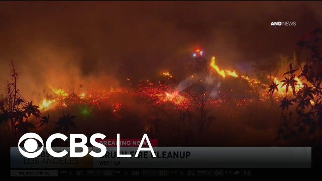 Early morning West Los Angeles brush fire extinguished by LAFD