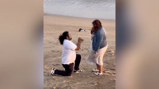 copy-of-generic-youtube-thumbnail-gradient-2026-10-13t213408-818.png 