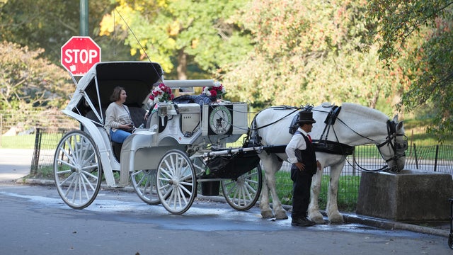 New York horse carriage ban 