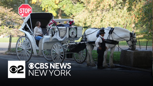 NYC Council vote on horse carriage ban looms as industry strongly opposes
