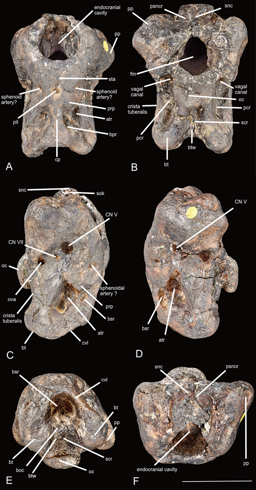 m-rsos-260937-f001.png 
