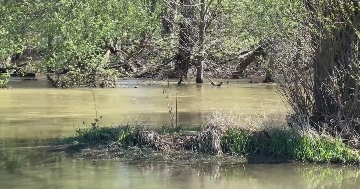 Michigan bets hundreds of millions on river restoration payoff - CBS ...