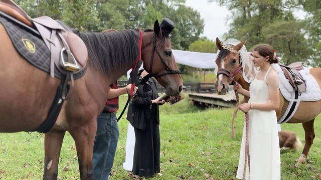 Horses get married in Georgia ceremony