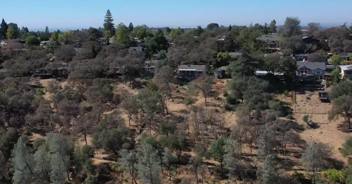New loan program offers funds for wildfire safety for California homeowners