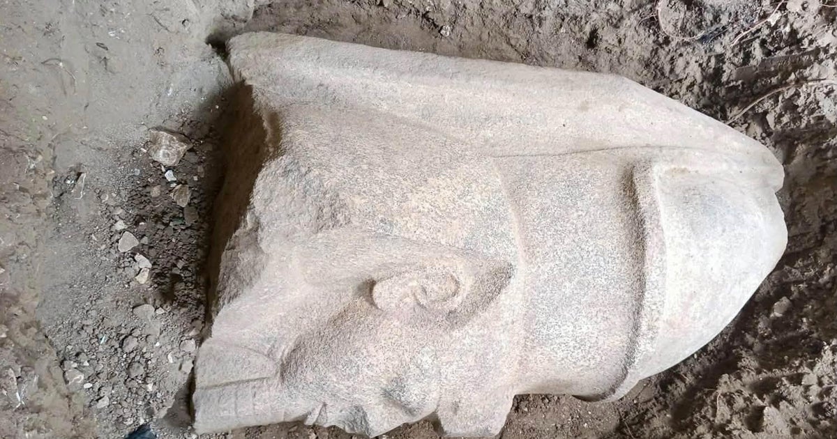 An Egyptian farmer found