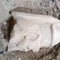 Farmer's discovery in Egypt leads to pieces of statues for ancient king