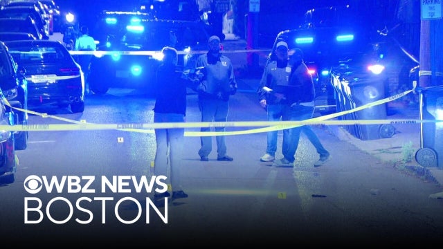 2-year-old girl hit and killed by car in Chelsea