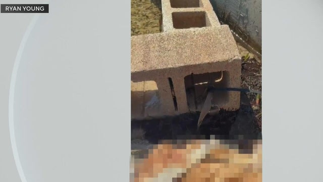 Outrage grows after dog found dead underwater tied to cinder blocks in Miami