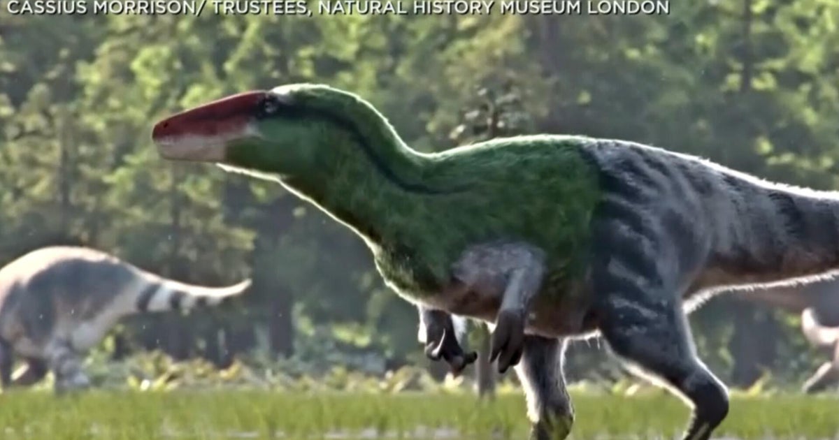Animation depicts newly-discovered dinosaur species