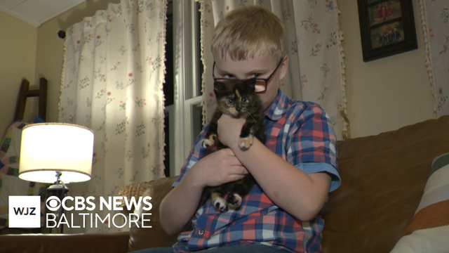 Harford County boy at center of kitten rescue speaks out in support of bus driver