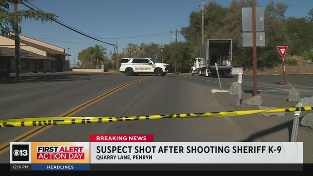 Suspect shot after shooting Placer County sheriff K9