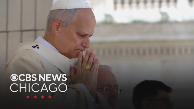 Pope Leo resumes some papal duties after lung surgery
