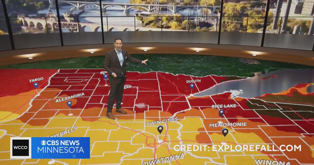 Peak fall color is here in Minnesota, but Friday’s wind has stripped ...