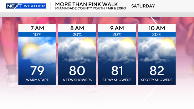 more-than-pink-walk-2026.png 