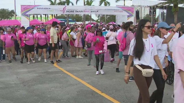 Countdown to Susan G Komen More Than Pink Walk is underway
