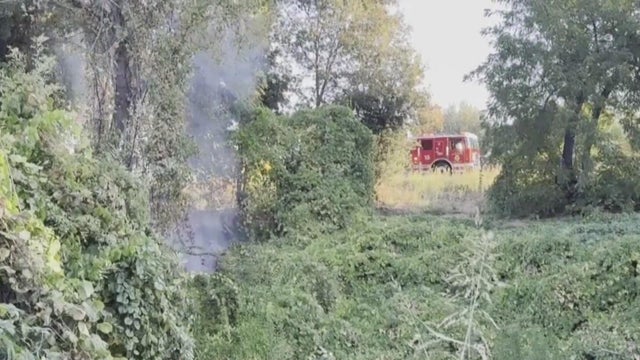 american river parkway fire 